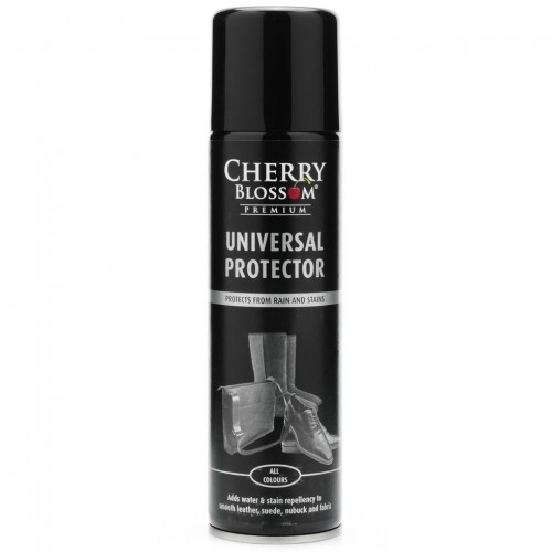 Leather protector in spray