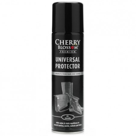 Leather protector in spray 1