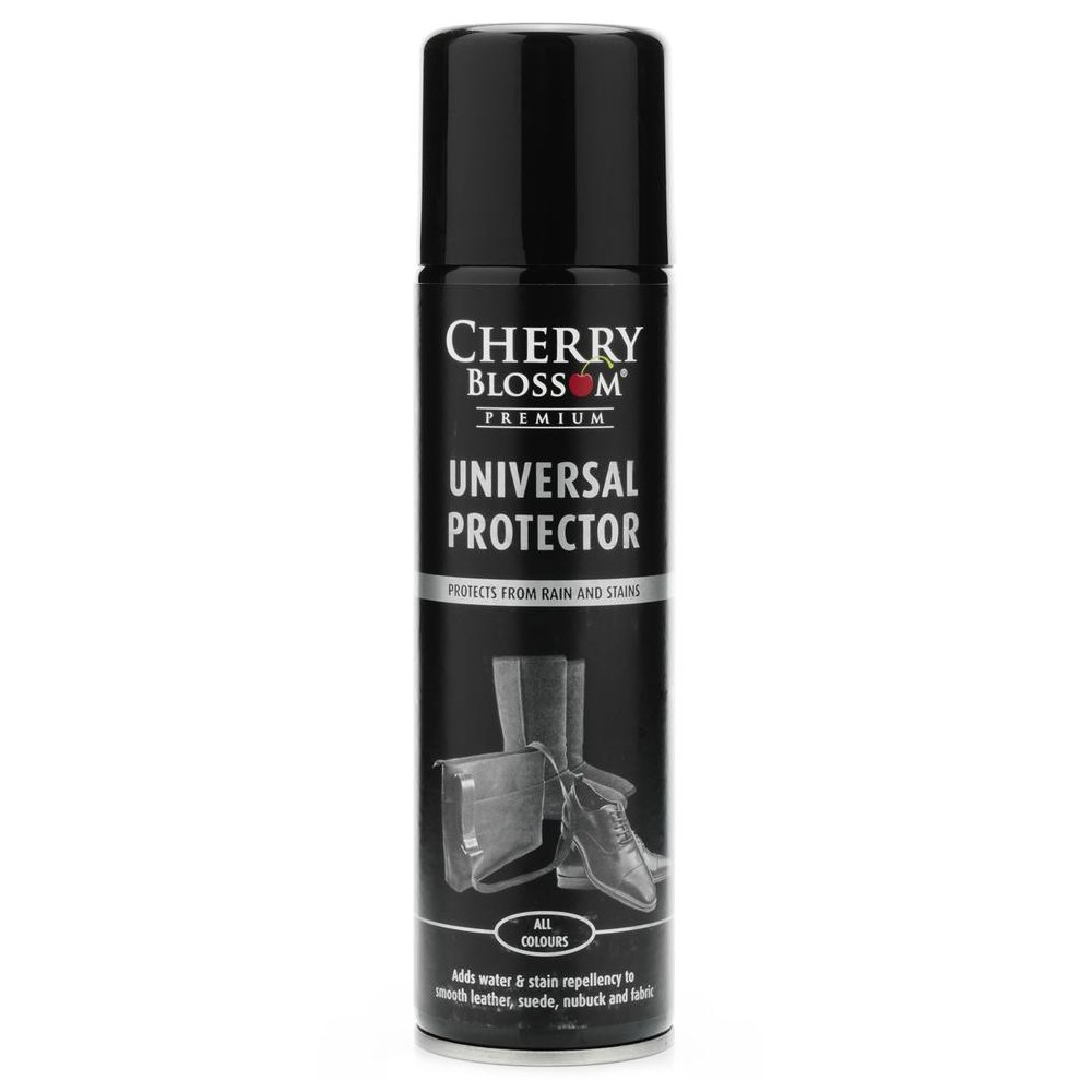 Leather protector in spray