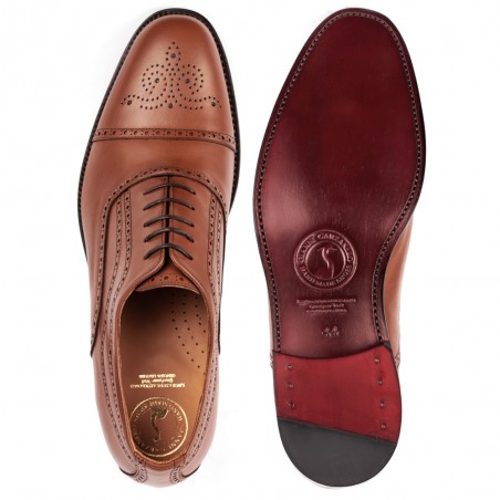 Basilea brown 4