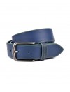 Aldo Belt 1