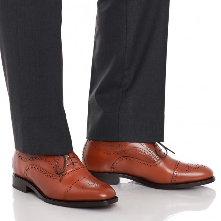 Basilea brown 5