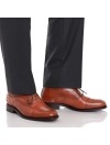 Basilea brown 5