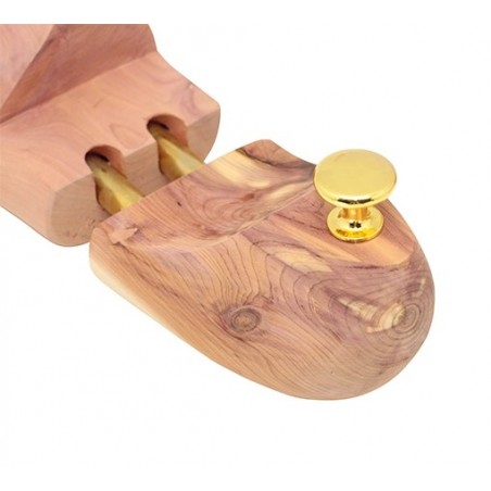 Tendiscarpe 4